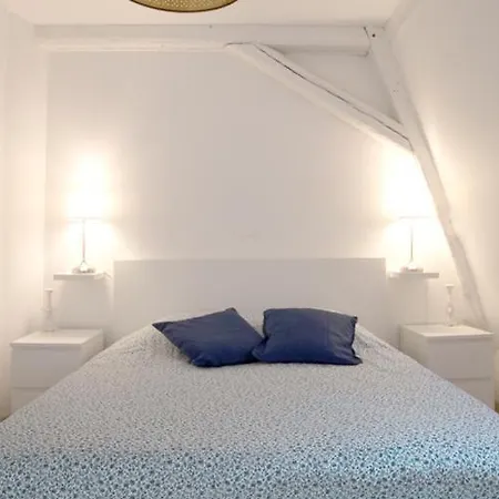 Petite Venise Grand Duplex Turenne Hyper Centre Colmar Buitenkant foto